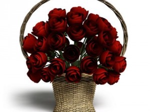 cgaxis models volume 6 flowers Modello 3D