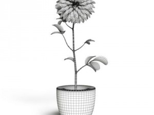 cgaxis models volume 6 flowers Modello 3D