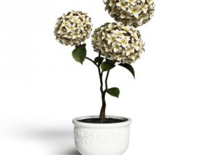 cgaxis models volume 6 flowers Modello 3D