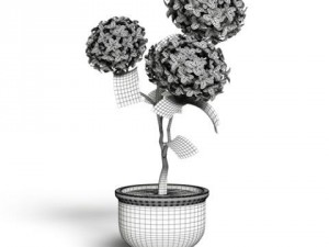 cgaxis models volume 6 flowers Modello 3D