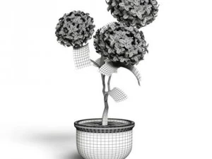 cgaxis models volume 6 flowers 3D Model