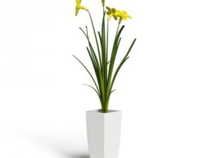 cgaxis models volume 6 flowers 3D Model