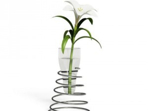 cgaxis models volume 6 flowers Modello 3D