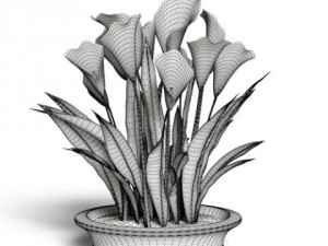 cgaxis models volume 6 flowers Modello 3D