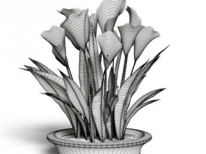 cgaxis models volume 6 flowers 3D Model