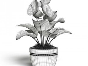 cgaxis models volume 6 flowers Modello 3D