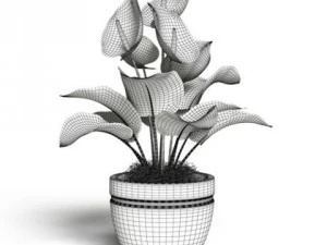 cgaxis models volume 6 flowers 3D Model