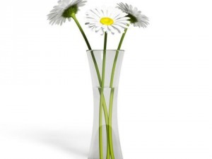 cgaxis models volume 6 flowers Modello 3D