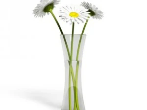 cgaxis models volume 6 flowers 3D Model
