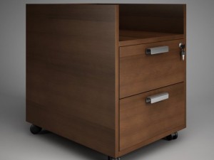 cgaxis office cabinet 29 3Dモデル