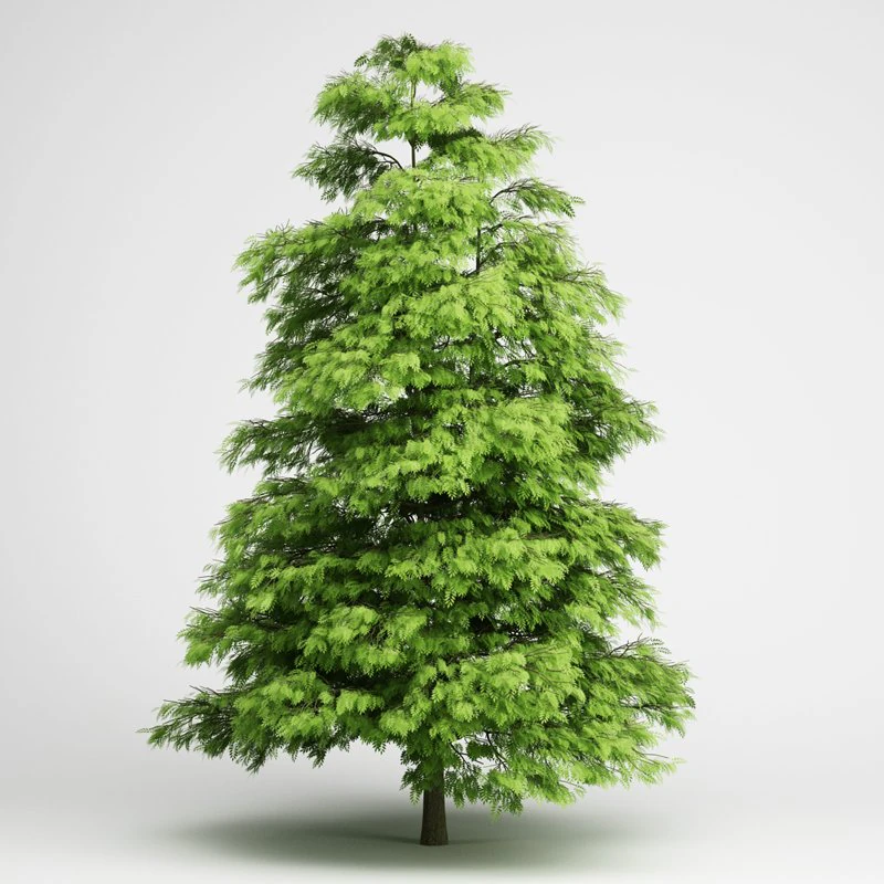 cgaxis tree of heaven 02 3D Model .c4d .max .obj .3ds .fbx .stl .blend
