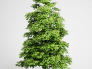 cgaxis tree of heaven 02 Modelo 3D