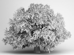 cgaxis honey locust 07 3D Model