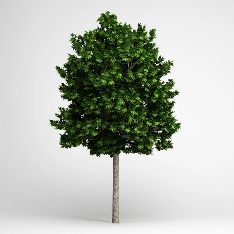 cgaxis london plane 12 3D Model .c4d .max .obj .3ds .fbx .stl .blend 