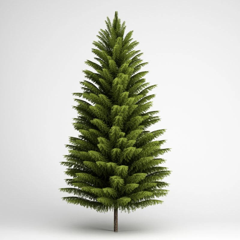cgaxis norway spruce 21 3D Model .c4d .max .obj .3ds .fbx .stl .blend 
