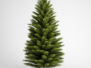 cgaxis norway spruce 21 3D Model