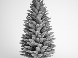 cgaxis norway spruce 21 3D मॉडल