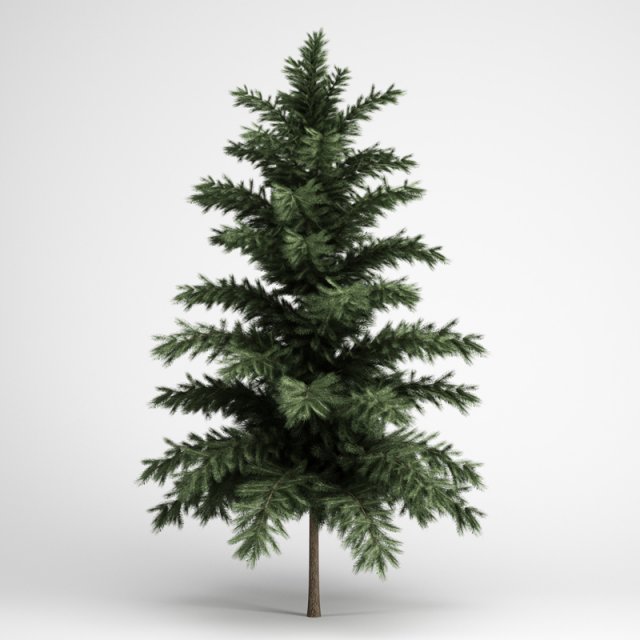 cgaxis scots pine 24 3D मॉडल .c4d .max .obj .3ds .fbx .stl .blend 