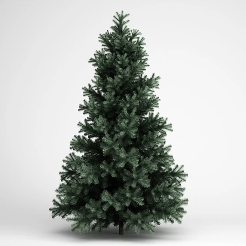 cgaxis alpine fir 25 3D Model .c4d .max .obj .3ds .fbx .stl .blend