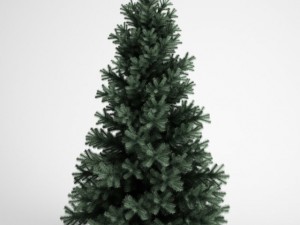 cgaxis alpine fir 25 3D-Modell