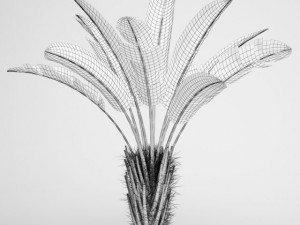 cgaxis wild banana tree 08 3D Model