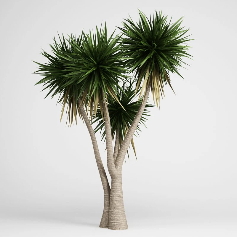 cgaxis yucca 09 3D Model .c4d .max .obj .3ds .fbx .stl .blend