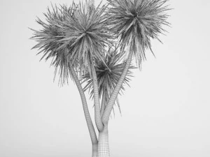 cgaxis yucca 09 3D Model