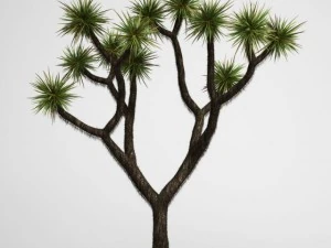 cgaxis Joshua Tree 15 3D Modell