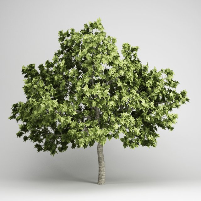 cgaxis common fig 19 Model 3D .c4d .max .obj .3ds .fbx .stl .blend