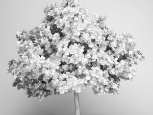 cgaxis common fig 19 Model 3D