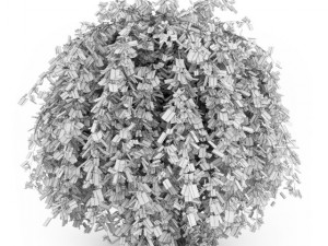 cgaxis common hornbeam 3D Model