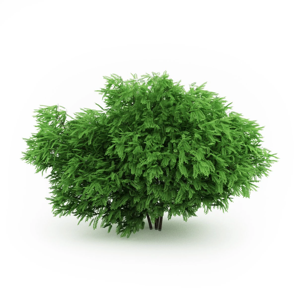cgaxis desert false indigo 3D Model .c4d .max .obj .3ds .fbx .stl .blend 