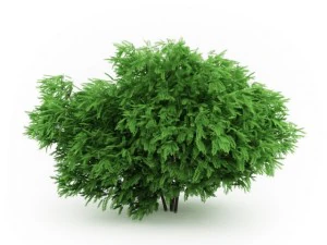 cgaxis desert false indigo 3D Modell