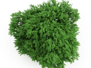 cgaxis desert false indigo 3D Модель
