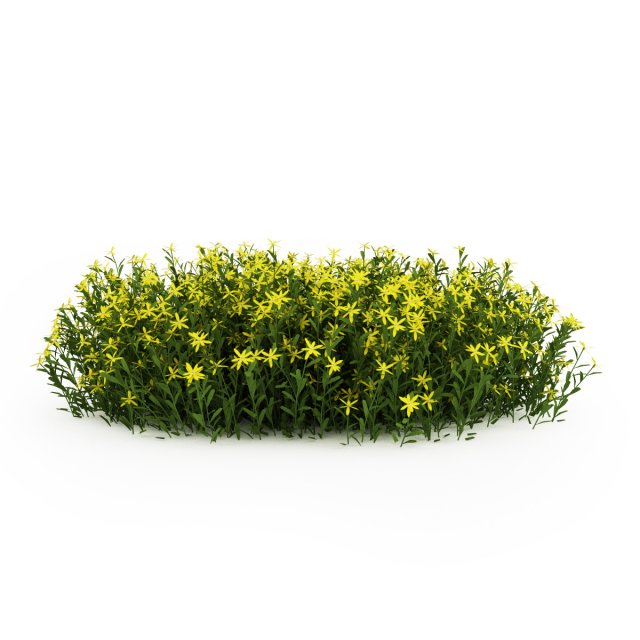 cgaxis broom 3D Model .c4d .max .obj .3ds .fbx .stl .blend 
