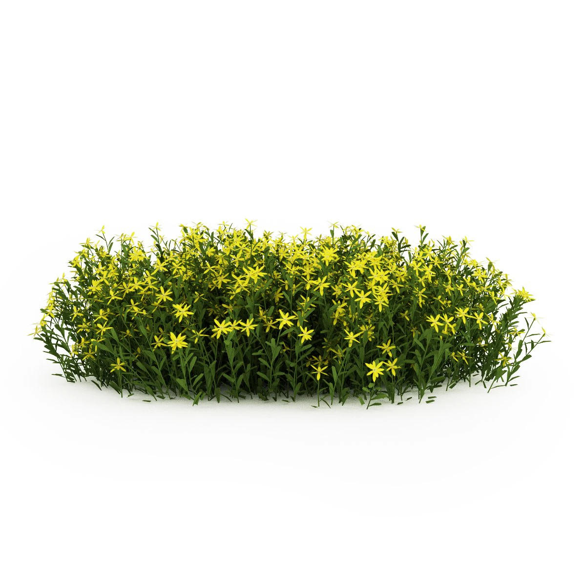 cgaxis broom 3D Model .c4d .max .obj .3ds .fbx .stl .blend 