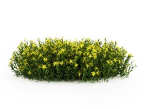 cgaxis broom 3D Модель