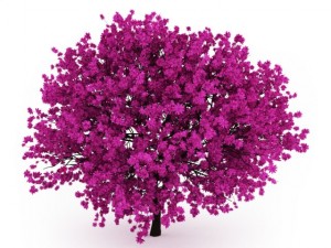 cgaxis judas tree 3D Model