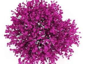 cgaxis judas tree 3D Model