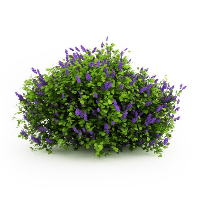 cgaxis lilac Modelo 3D .c4d .max .obj .3ds .fbx .stl .blend 