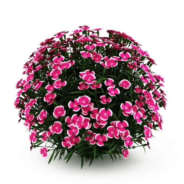 cgaxis alpine pink 3D Model .c4d .max .obj .3ds .fbx .stl .blend 