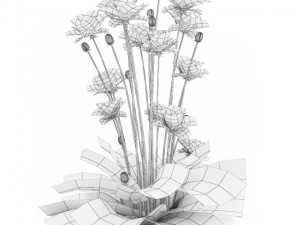 cgaxis iranian poppy 3D Модель