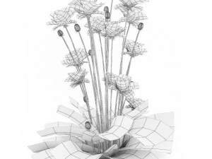 cgaxis iranian poppy 3D Model