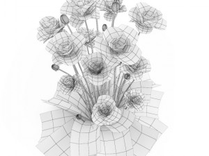 cgaxis iranian poppy 3D Модель