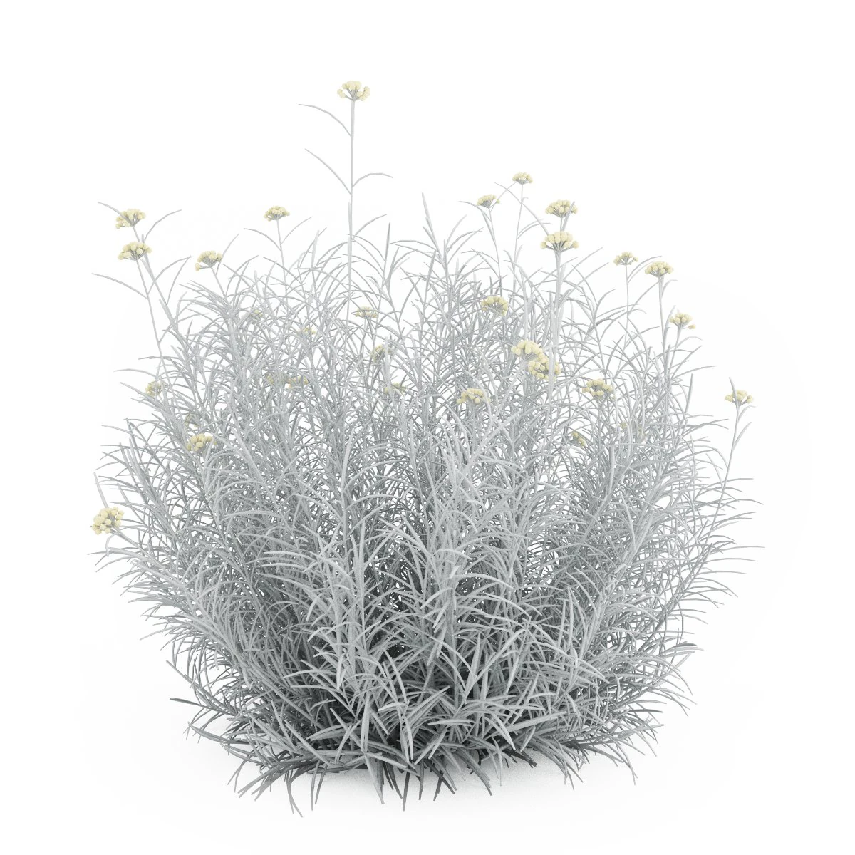 cgaxis red everlasting 3D Model .c4d .max .obj .3ds .fbx .stl .blend 