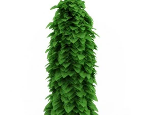 cgaxis Mondseed 3D Modell