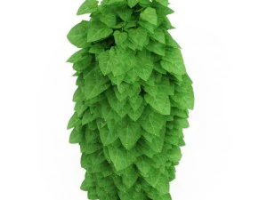 cgaxis moonseed 3D Model