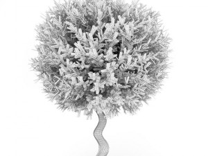 cgaxis bay laurel Modelo 3D