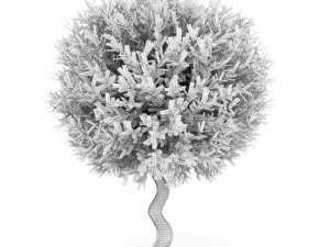 cgaxis bay laurel 3D Model