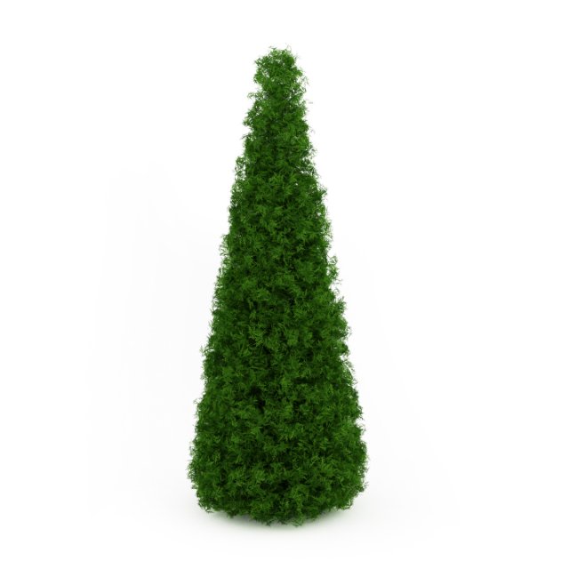 cgaxis eastern arborvitae 3D Model .c4d .max .obj .3ds .fbx .stl .blend 